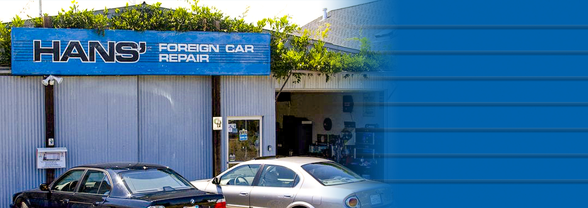 shop banner